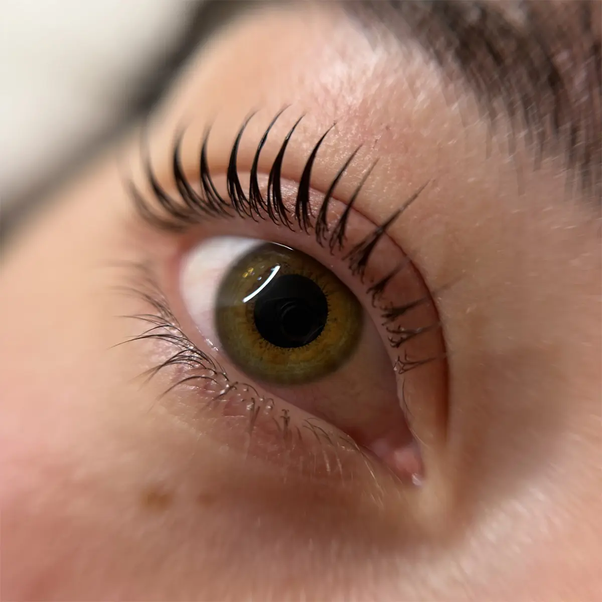 Lash Lifting Coreano